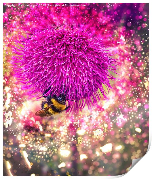  Busy Bee Print by richard sayer