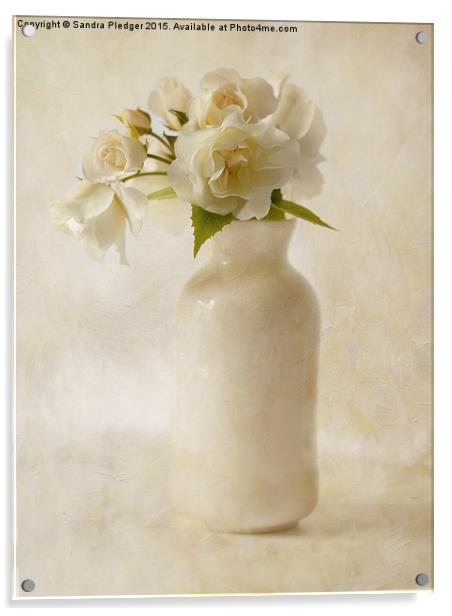 White Roses Acrylic by Sandra Pledger