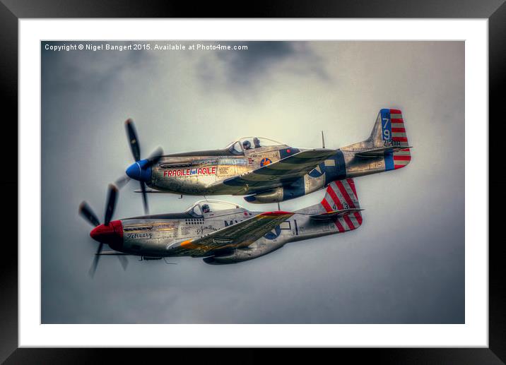  North American P-51 Mustangs Framed Mounted Print by Nigel Bangert