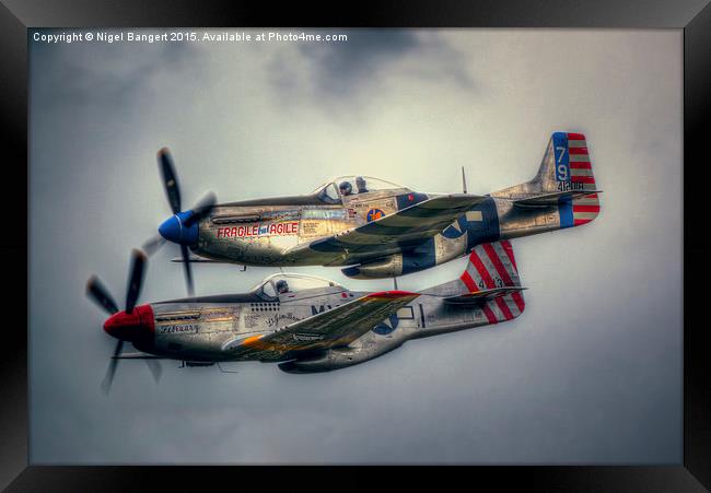  North American P-51 Mustangs Framed Print by Nigel Bangert