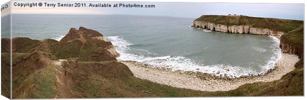 Panoramic View of Thornwick Bay, Yorkshire Canvas Print by Terry Senior