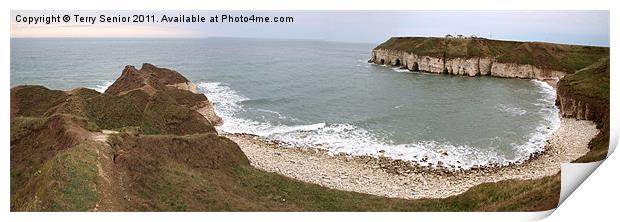 Panoramic View of Thornwick Bay, Yorkshire Print by Terry Senior