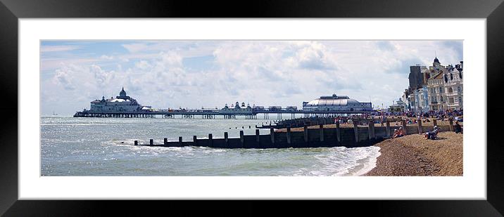 Panoramic view of Eastbourne Pier, Sussex Framed Mounted Print by Terry Senior