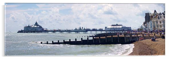 Panoramic view of Eastbourne Pier, Sussex Acrylic by Terry Senior