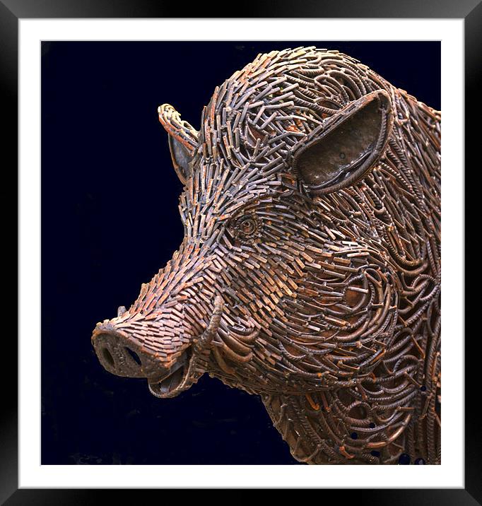 Rusty Boar Head Sculpture Framed Mounted Print by Mike Gorton