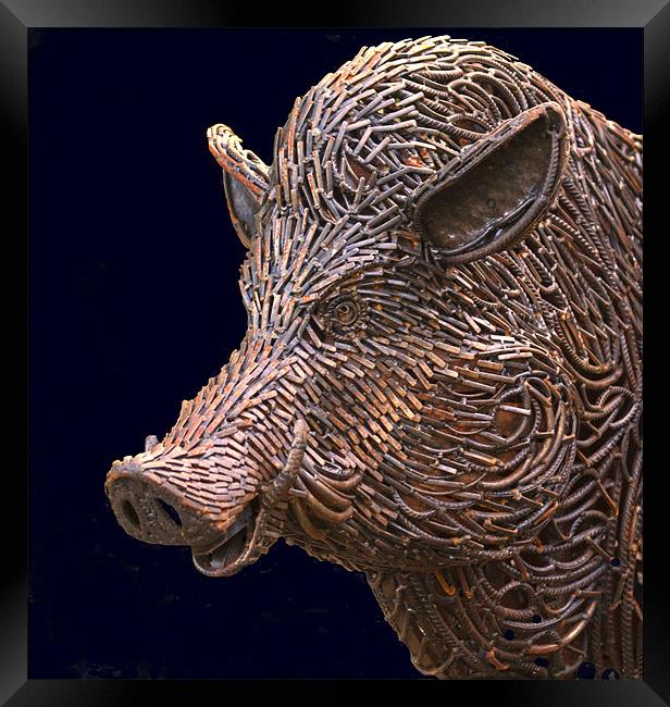 Rusty Boar Head Sculpture Framed Print by Mike Gorton