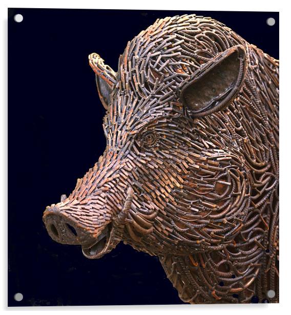 Rusty Boar Head Sculpture Acrylic by Mike Gorton