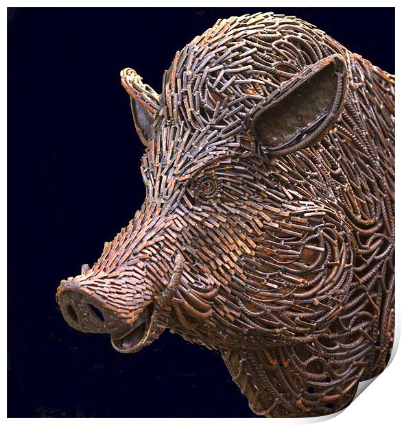 Rusty Boar Head Sculpture Print by Mike Gorton