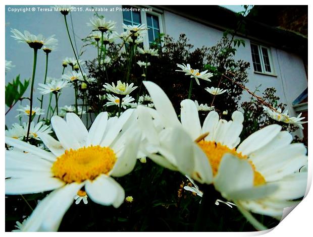  Cottage Daisies part two Print by Teresa Moore