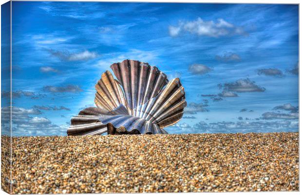 Sea Shell on Beach  Canvas Print by Toby Truelove