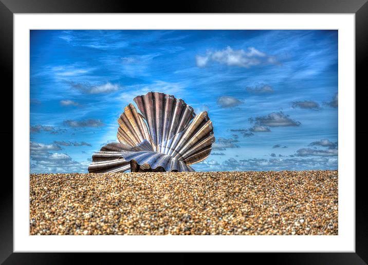 Sea Shell on Beach  Framed Mounted Print by Toby Truelove