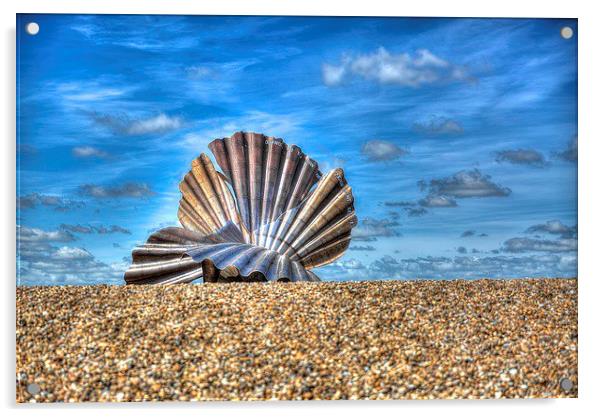 Sea Shell on Beach  Acrylic by Toby Truelove