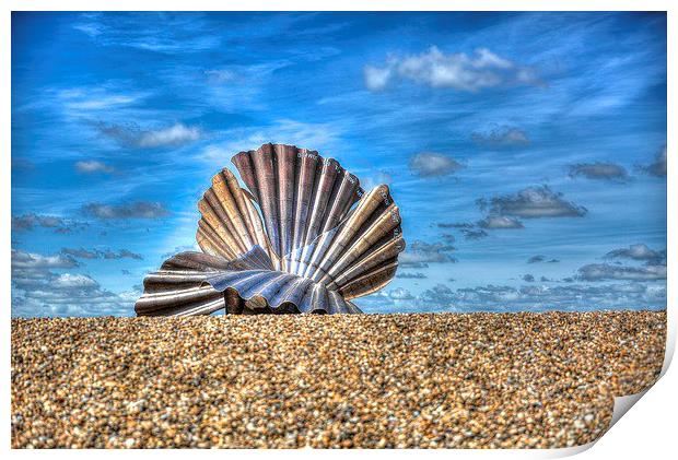 Sea Shell on Beach  Print by Toby Truelove