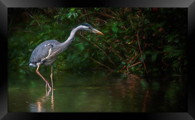 The Heron Framed Print by Colin Evans