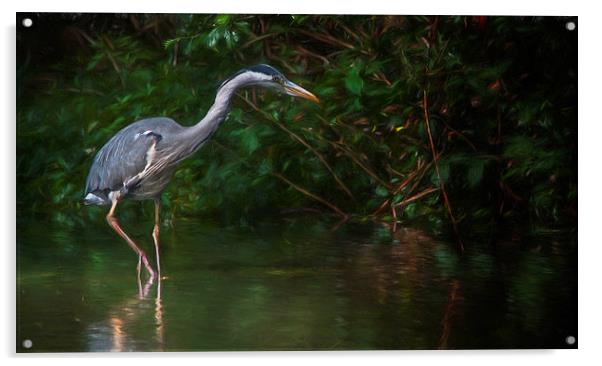 The Heron Acrylic by Colin Evans