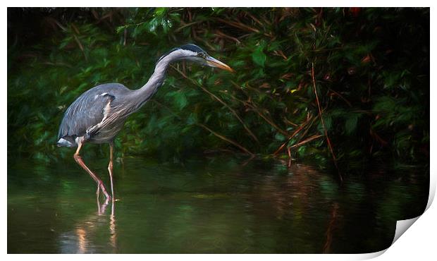 The Heron Print by Colin Evans
