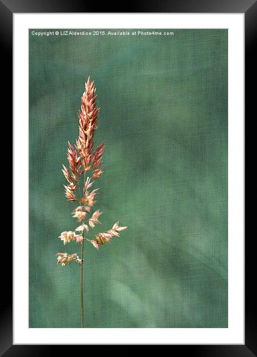  Simple Complexity Framed Mounted Print by LIZ Alderdice