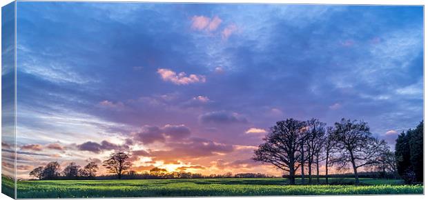 Purple sunset Canvas Print by Gary Schulze