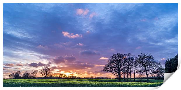 Purple sunset Print by Gary Schulze