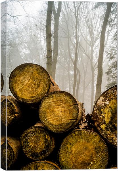  Misty logs Canvas Print by Gary Schulze