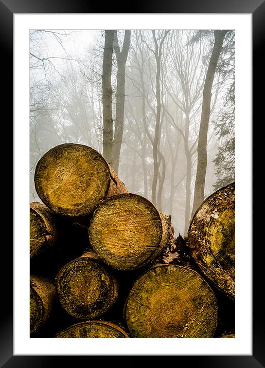  Misty logs Framed Mounted Print by Gary Schulze