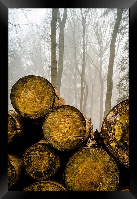  Misty logs Framed Print by Gary Schulze