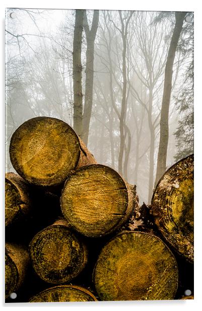  Misty logs Acrylic by Gary Schulze