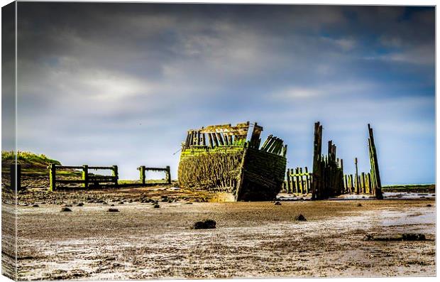  Shipwreck and dock Canvas Print by Gary Schulze
