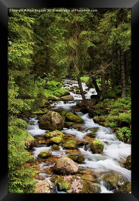 Stream in Koscieliska Valley Framed Print by Artur Bogacki