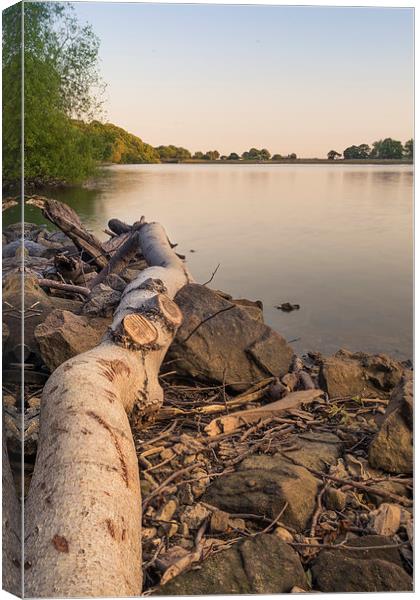 sunset over knypersley Reservoir  Canvas Print by Andy Evans