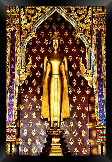 Buddha Figure at Wat Po Framed Print by Carole-Anne Fooks