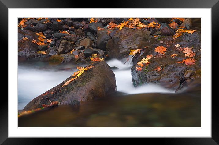 Autumn Scattered Framed Mounted Print by Mike Dawson