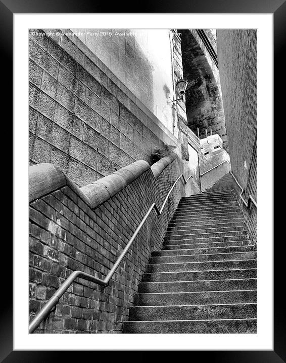  Dog Leap Stairs Framed Mounted Print by Alexander Perry