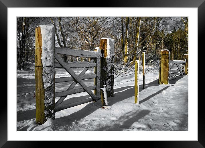 Small gate Framed Mounted Print by Stephen Mole