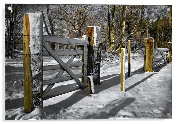 Small gate Acrylic by Stephen Mole