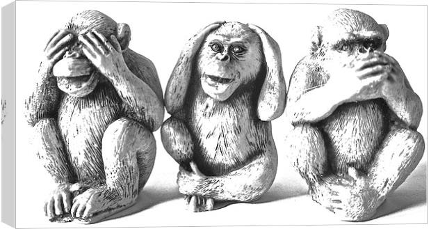  The Three Wise Monkeys Canvas Print by Sue Bottomley
