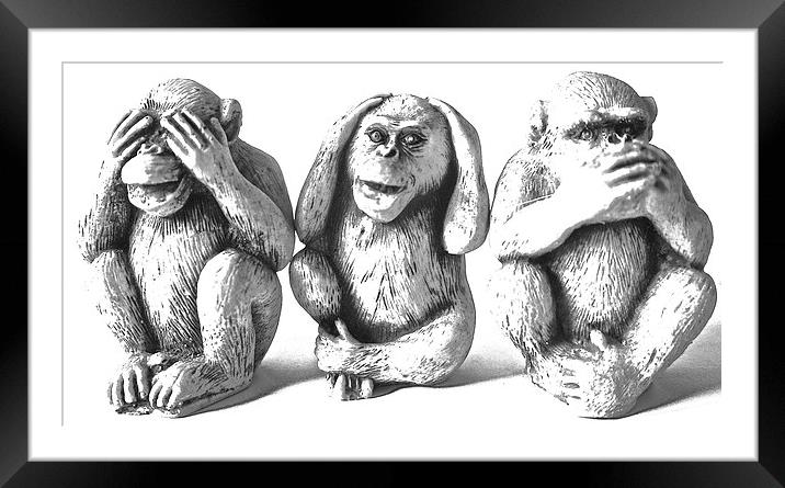  The Three Wise Monkeys Framed Mounted Print by Sue Bottomley