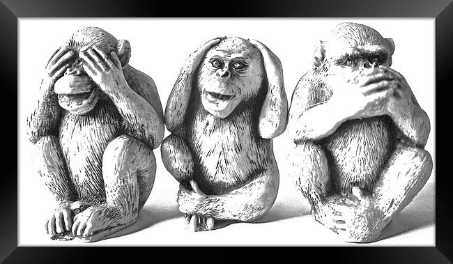  The Three Wise Monkeys Framed Print by Sue Bottomley