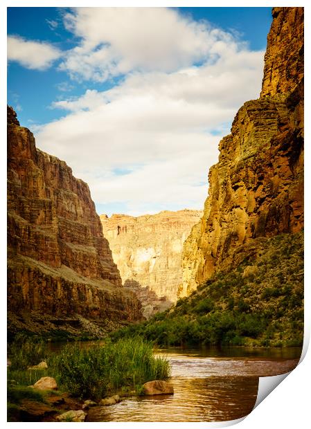 Grand Canyon in the Morning Print by Brent Olson