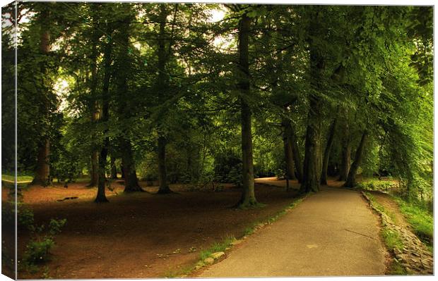 Woodland Walk in the City  Canvas Print by Jacqi Elmslie