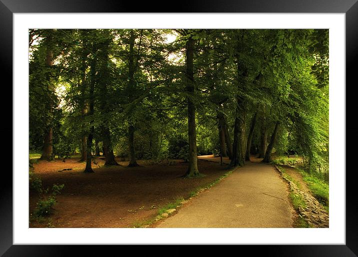 Woodland Walk in the City  Framed Mounted Print by Jacqi Elmslie
