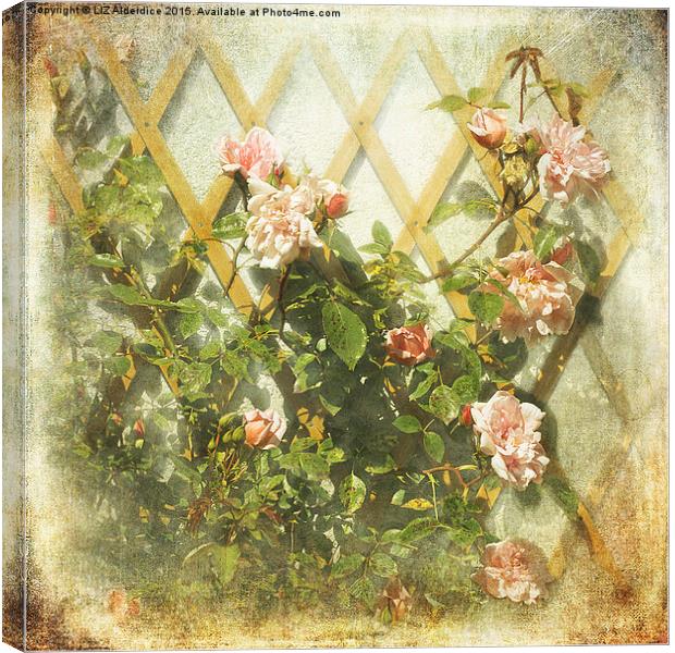  Rambling Rose Canvas Print by LIZ Alderdice