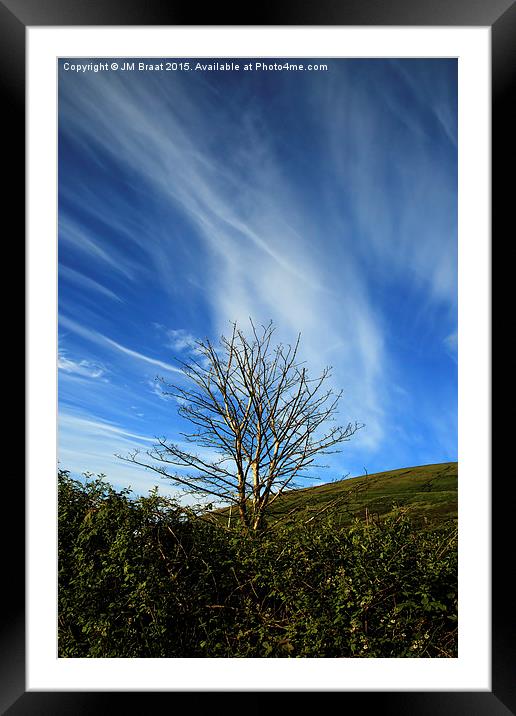 Lone Tree in Colour  Framed Mounted Print by Jane Braat