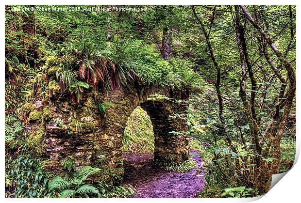  The Grotto Print by Robert Murray