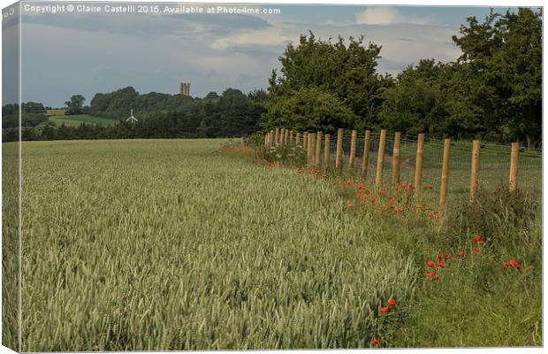 Wheat and Poppies, Landscape  Canvas Print by Claire Castelli