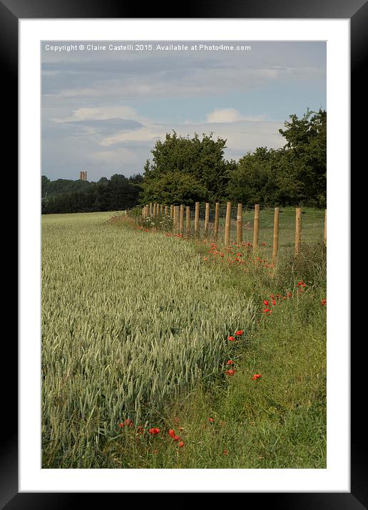 Wheat and Poppies, Portrait Framed Mounted Print by Claire Castelli