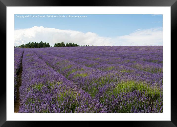  Lavender Fields Framed Mounted Print by Claire Castelli