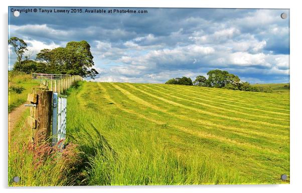  Summer field with cut grass Acrylic by Tanya Lowery