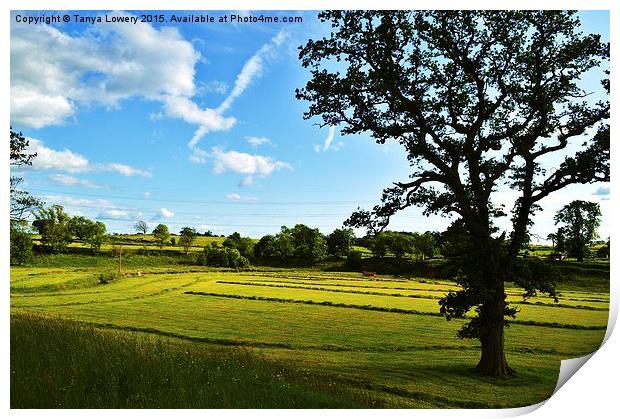  neatly rowed grass Print by Tanya Lowery