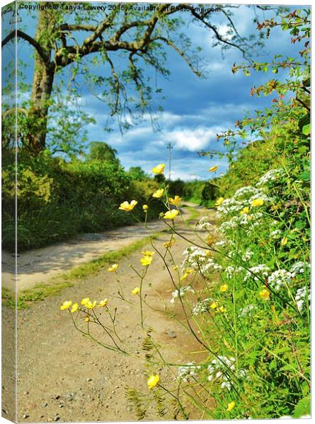  Buttercup lane Canvas Print by Tanya Lowery